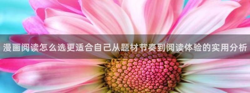 免费漫画在线大全：漫画阅读怎么选更适合自己从题材节奏到阅读体验的实用分析