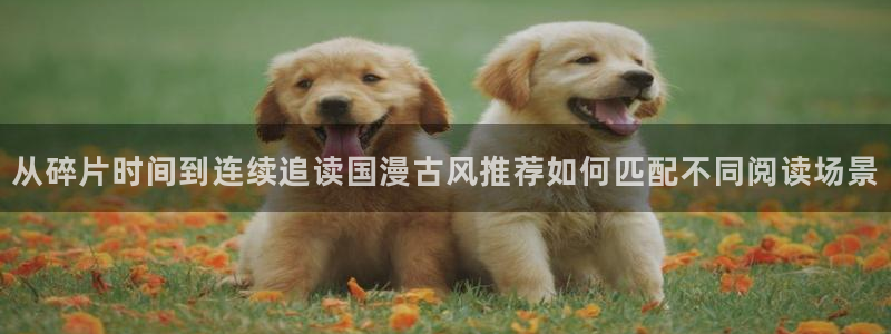 免费漫画动作漫画：从碎片时间到连续追读国漫古风推荐如何匹配不同阅读场景