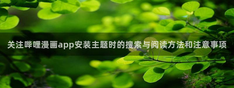 免费漫画在线漫画大全：关注哔哩漫画app安装主题时的搜索与阅读方法和注意事项